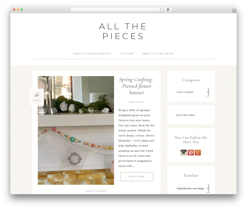 Subscribe / Connect / Follow Widget (subscribe-connect-follow-widget) free WordPress plugin - allthepiecesblog.com Subscribe / Connect / Follow Widget (subscribe-connect-follow-widget) free WordPress plugin - allthepiecesblog.com
