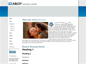 WP theme abloy by OnlineMedier ApS