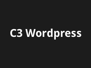 AEDD Plus Theme theme WordPress by Patrick Little