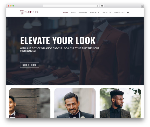Woocommerce lightspeed pos WordPress plugin - suitcityoforlando.com