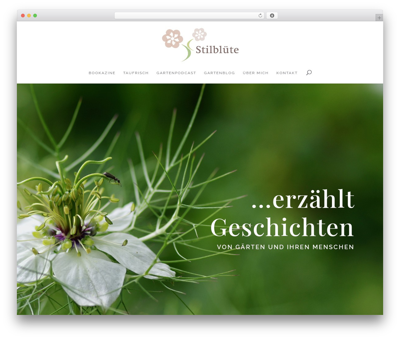 Divi WP theme - stilbluete.ch Divi WP theme - stilbluete.ch