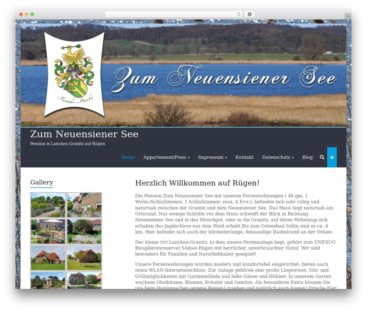 Explore free WordPress theme - am-see-ruegen.de