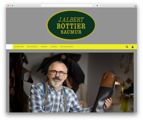 Theme WordPress 6temflex - joelalbert.com