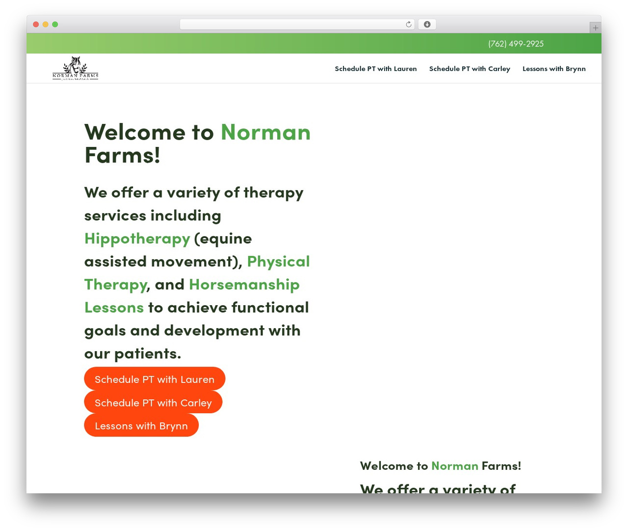 Theme WordPress Divi - normanfarmsllc.com