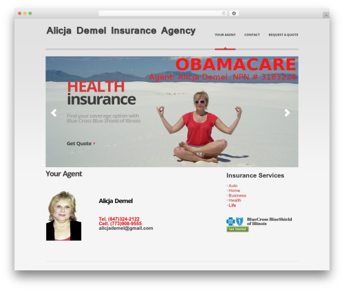 theme1933 WordPress theme - alicjademelinsurance.com