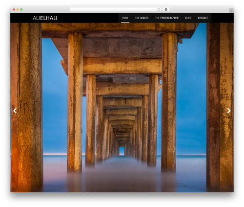 WordPress theme Titan - alielhajj.com