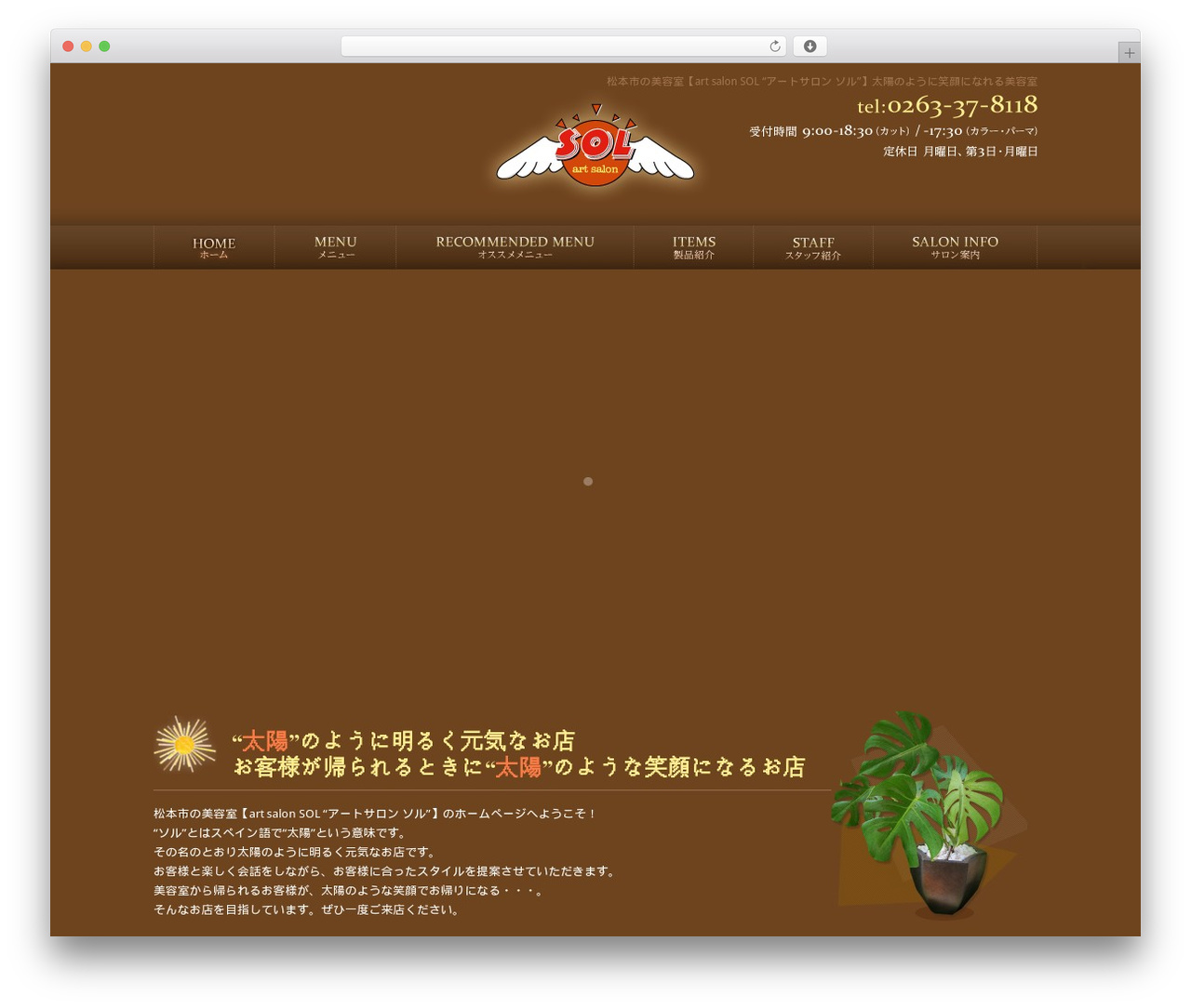 WP theme Themify Basic - solsol.jp WP theme Themify Basic - solsol.jp