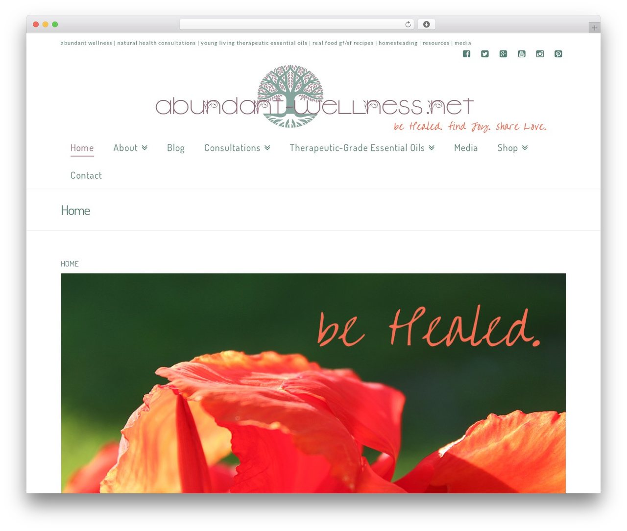 X WordPress theme - abundant-wellness.net