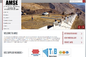 AMSE WordPress theme by New Target, Inc.