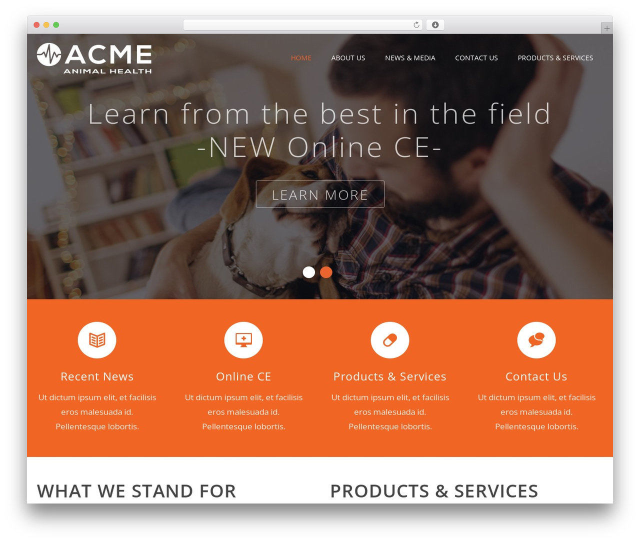 Durus theme WordPress - acmeanimalhealth.com Durus theme WordPress - acmeanimalhealth.com