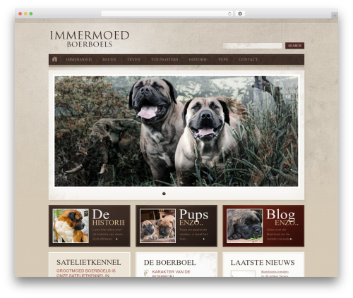 Wp recaptcha WordPress plugin - immermoed.com