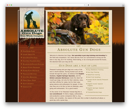 Verification code for comments WordPress plugin - absolutegundogs.com