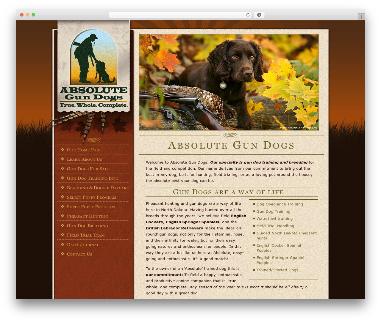 WordPress theme Absolute. - absolutegundogs.com WordPress theme Absolute. - absolutegundogs.com