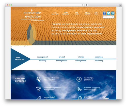 Our services showcase pro WordPress plugin - accelerateevolution.com