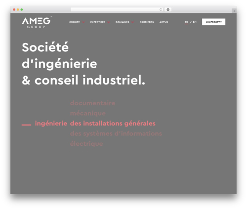Walt wp framework WordPress plugin - ameg-group.fr