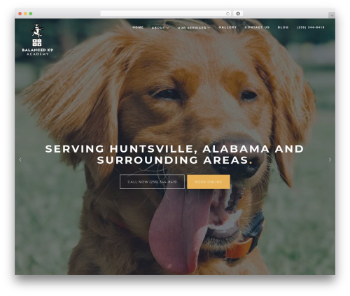 Comet WP WordPress theme - balanced-k9.com