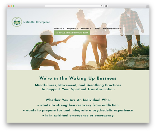 Divi WordPress theme - amindfulemergence.com