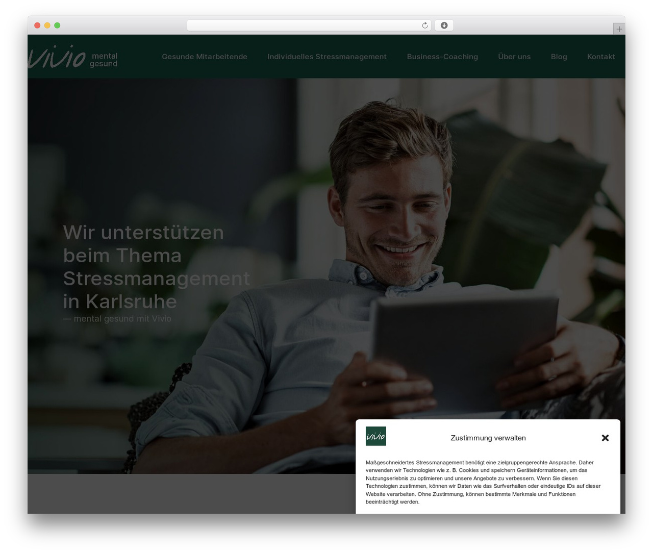 Hello Elementor WordPress theme - vivio.info