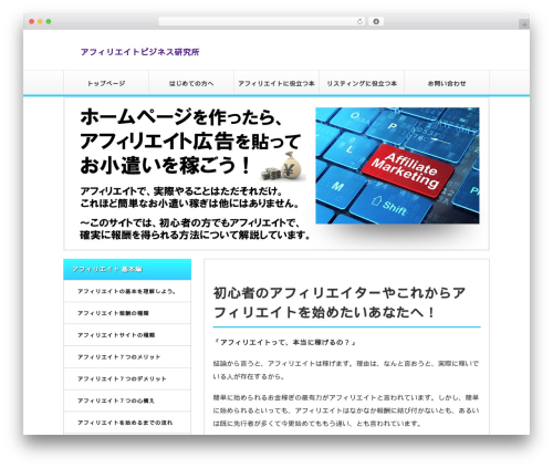 sample001 WP theme - affili-business21.com