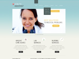 theme1839 WordPress theme design