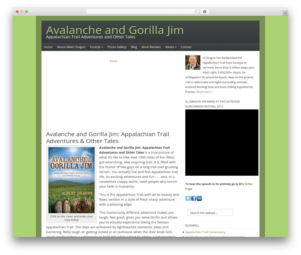 WordPress theme Catalyst - albertdragon.com
