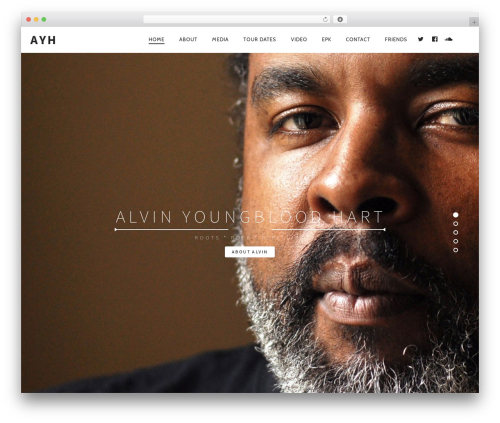Pixlikes WordPress plugin - ayhmusic.com