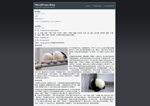 WP theme page-tiny by page