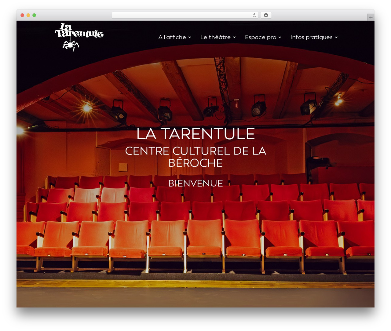 Divi WordPress theme - la-tarentule.ch Divi WordPress theme - la-tarentule.ch