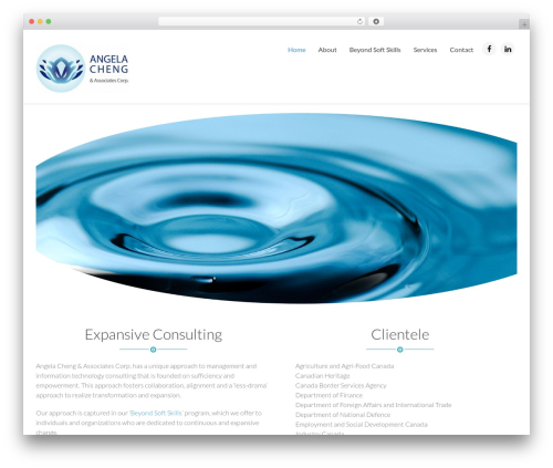 Simple WordPress theme - acaacorp.com