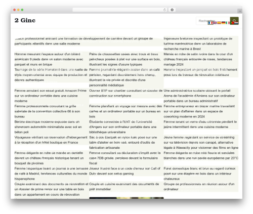 Theme WordPress Esteem - 2ginc.com