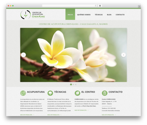 theme1577 WordPress theme - acupunturamadrid.es