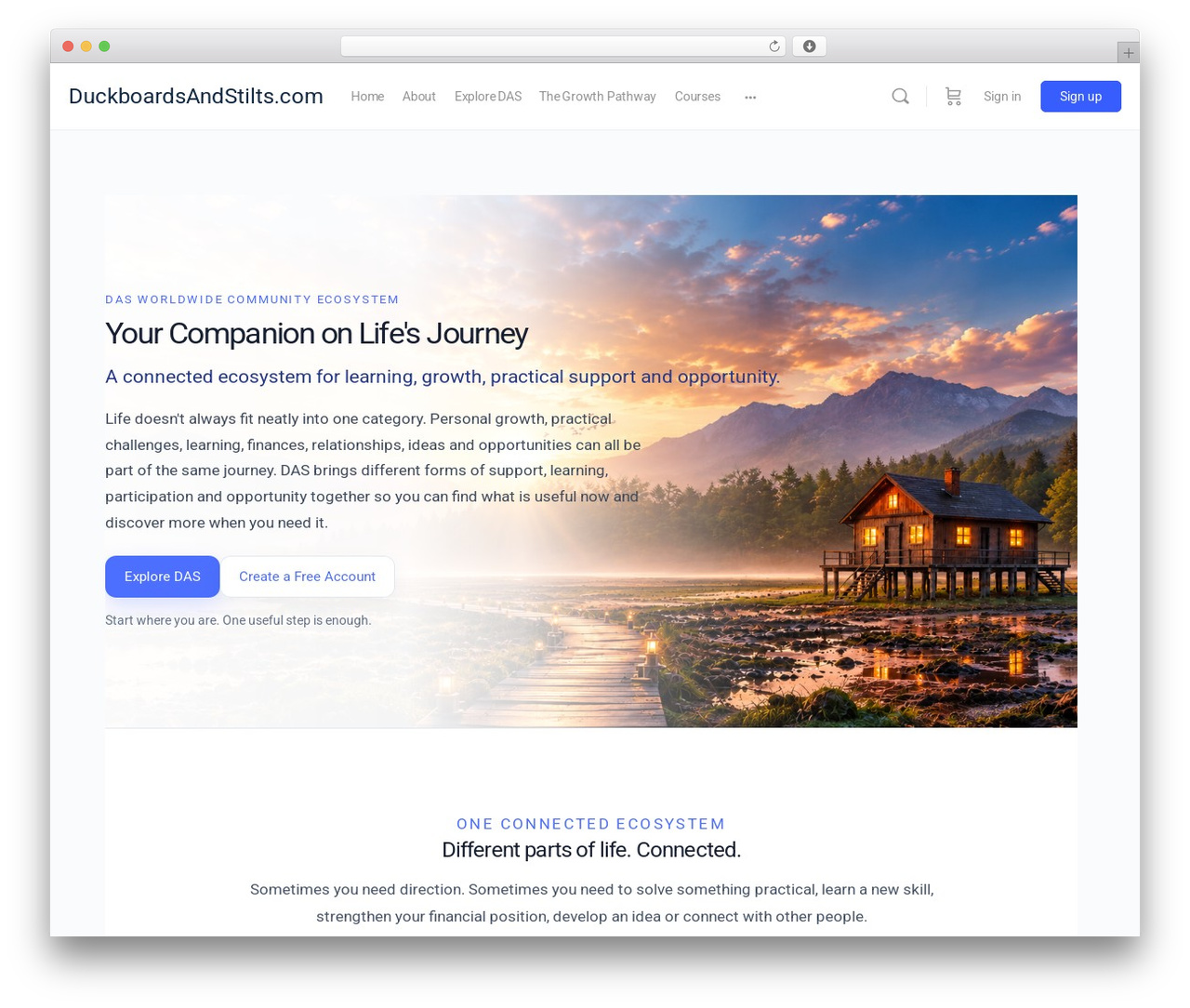 BuddyBoss Theme WordPress blog theme - duckboardsandstilts.com