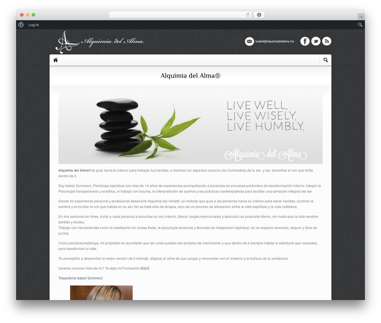 Theme WordPress Next - alquimiadelalma.mx Theme WordPress Next - alquimiadelalma.mx