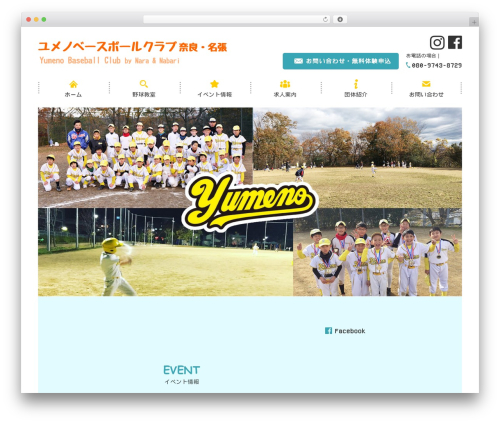 Themify Basic WordPress theme - kids-sportsclub.com