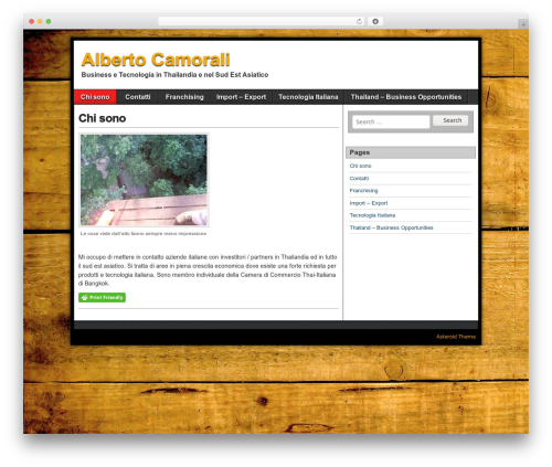 Asteroid WordPress theme - albertocamorali.com