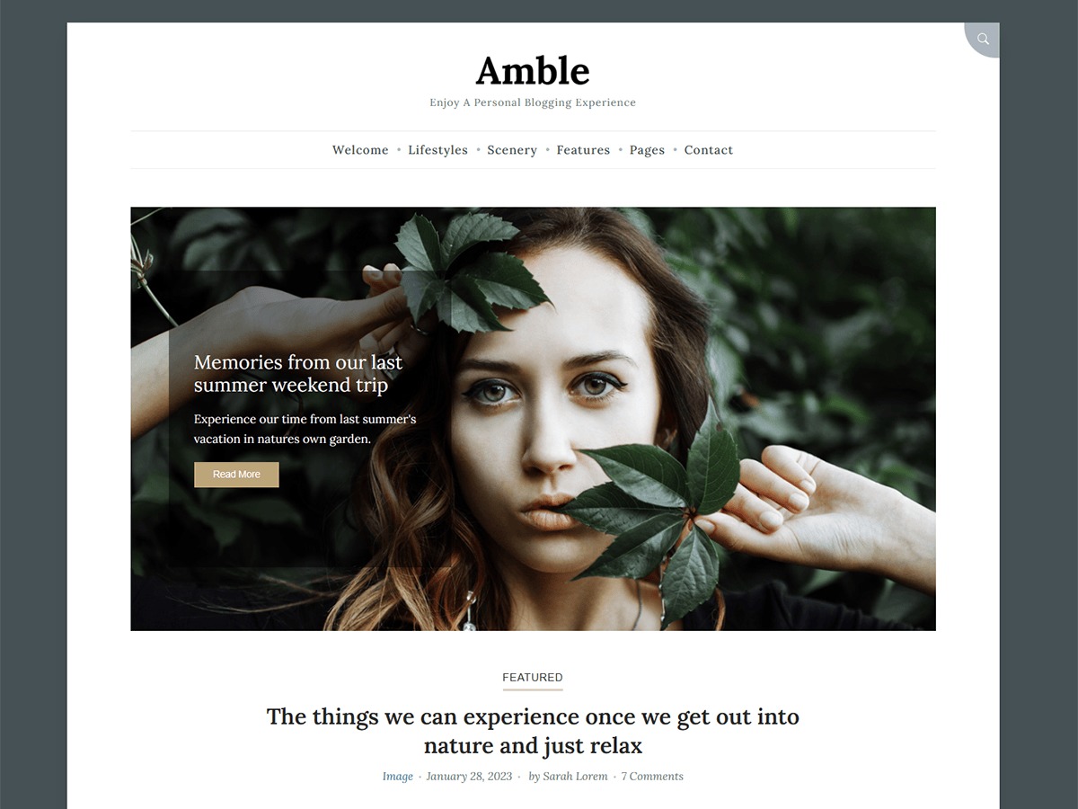 Theme WordPress amble