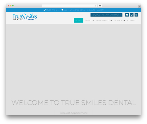 Theme WordPress Parent Theme - truesmilesdentalstudio.com