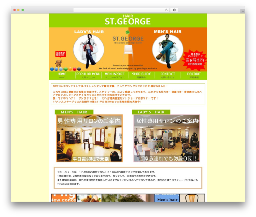 Themify Basic WordPress theme - sent-george.com