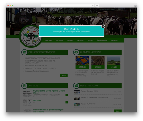 WP Modal Popup with Cookie Integration (wp-modal-popup-with-cookie-integration) free WordPress plugin - ajamcja.com