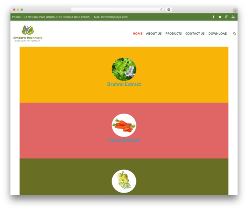WordPress theme Accesspress Ray Pro - simposys.com