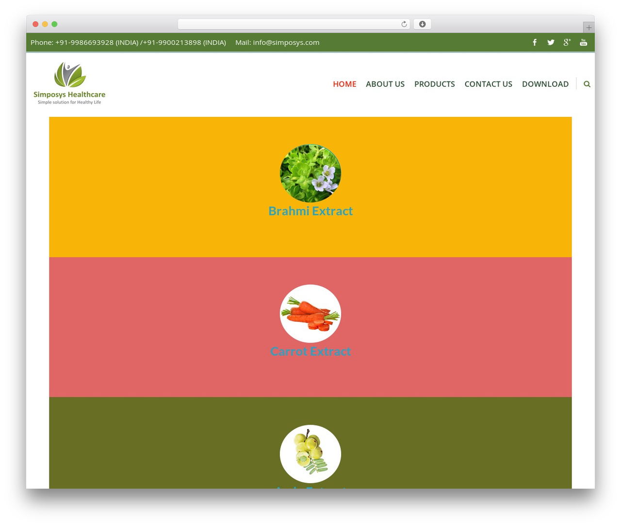 WordPress theme Accesspress Ray Pro - simposys.com