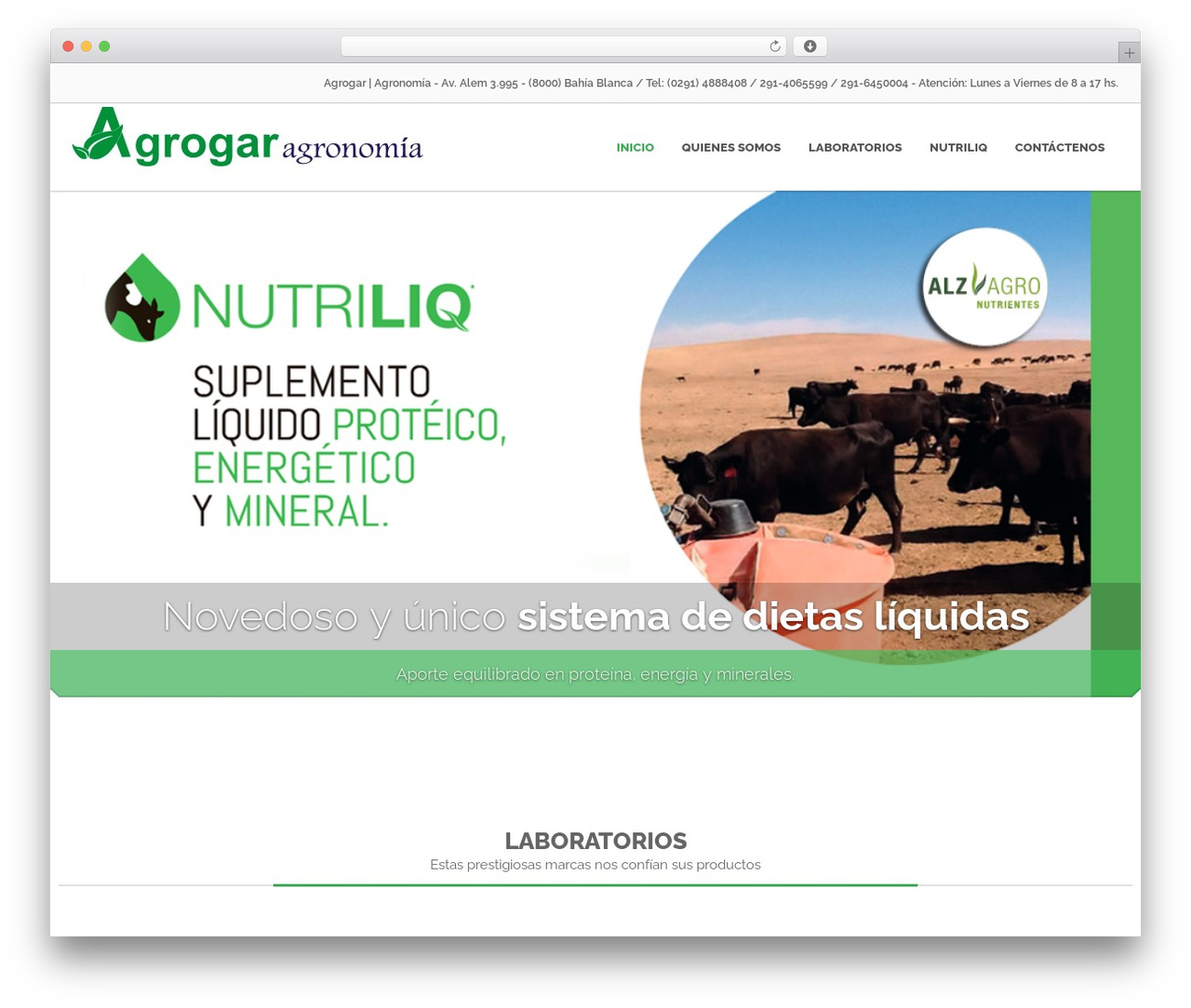CleanStart premium WordPress theme - agrogar.com.ar CleanStart premium WordPress theme - agrogar.com.ar