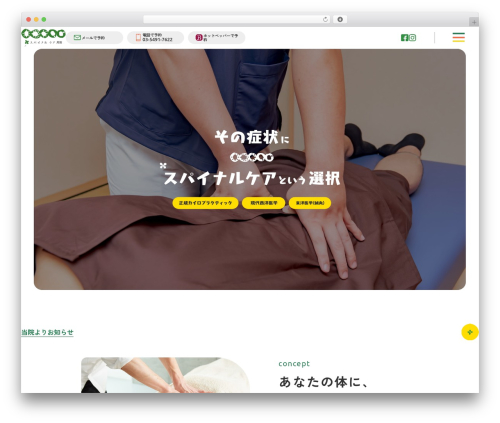 FSVBASIC theme WordPress - spinalcare.jp