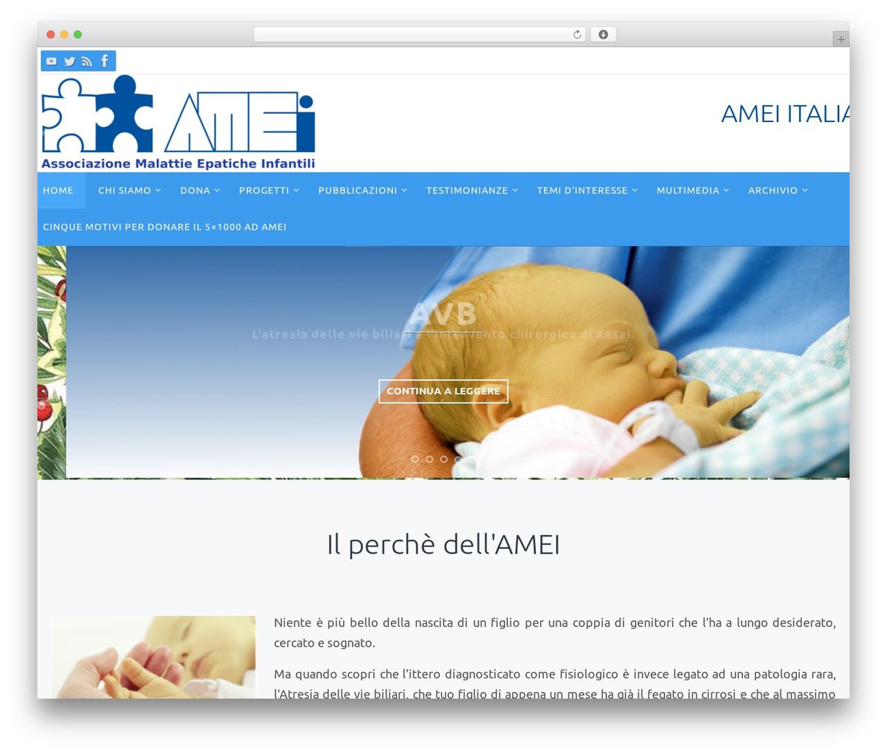 Nirvana WordPress theme - ameiitalia.org Nirvana WordPress theme - ameiitalia.org