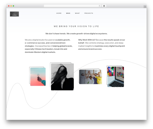 Pine WordPress theme - vammosdigital.com