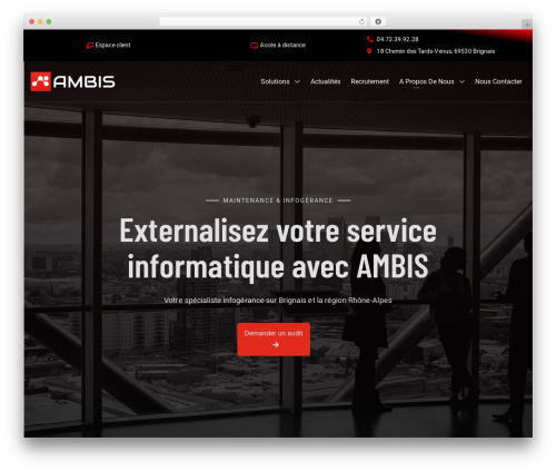 Ultimate addon WordPress plugin - ambis.fr
