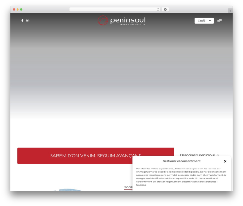 WordPress theme Propla - peninsoul.com