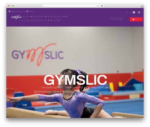 WordPress theme Hello Elementor - gymslic.com