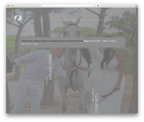 Ashade WordPress theme - videofotodesign.com