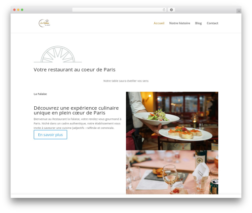 Divi contact form zero spam WordPress plugin - lafalaiserestaurant.com